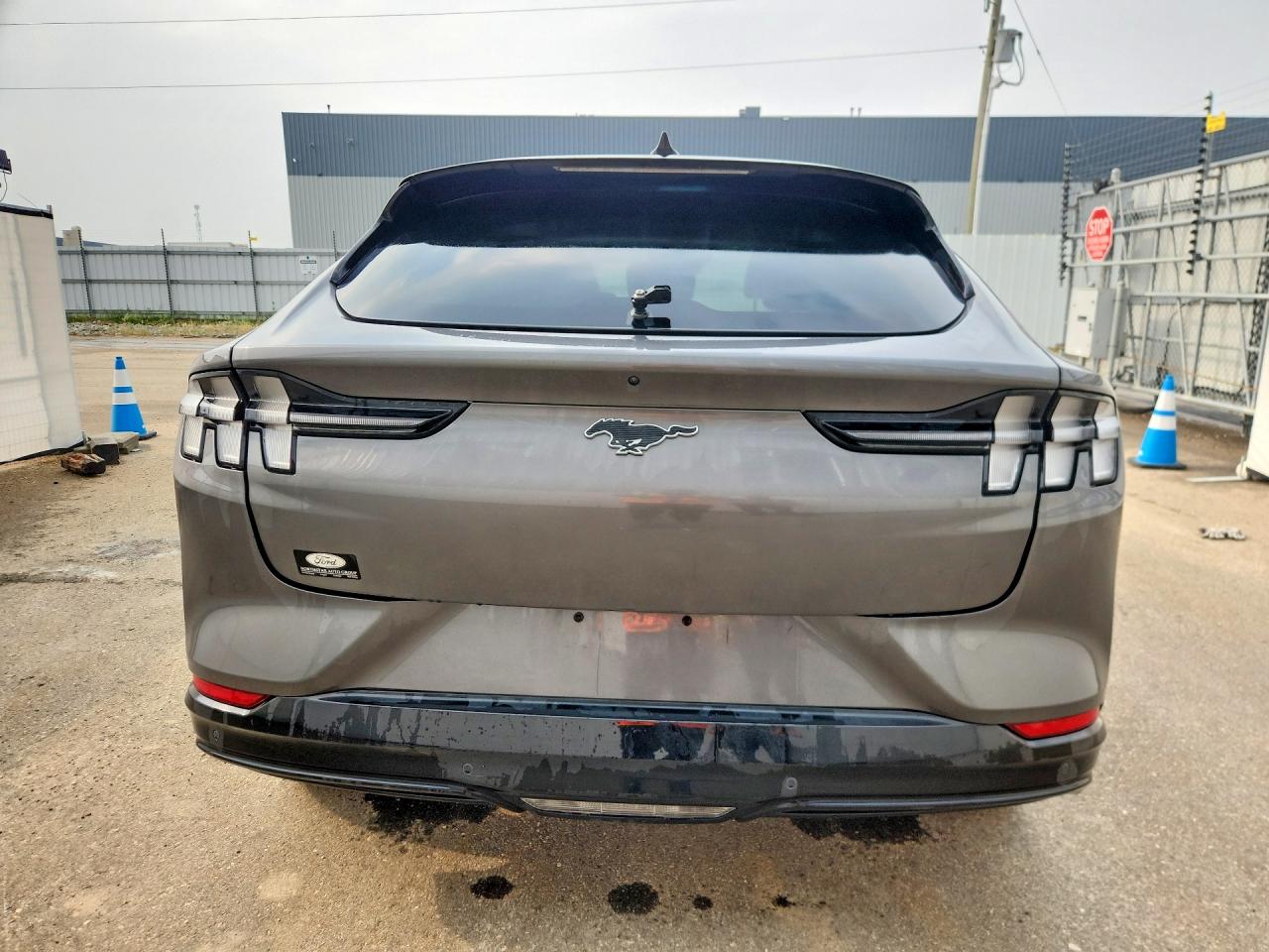 2023 FORD MUSTANG