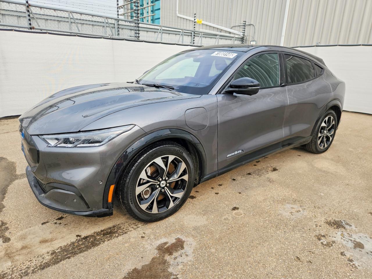 2023 FORD MUSTANG