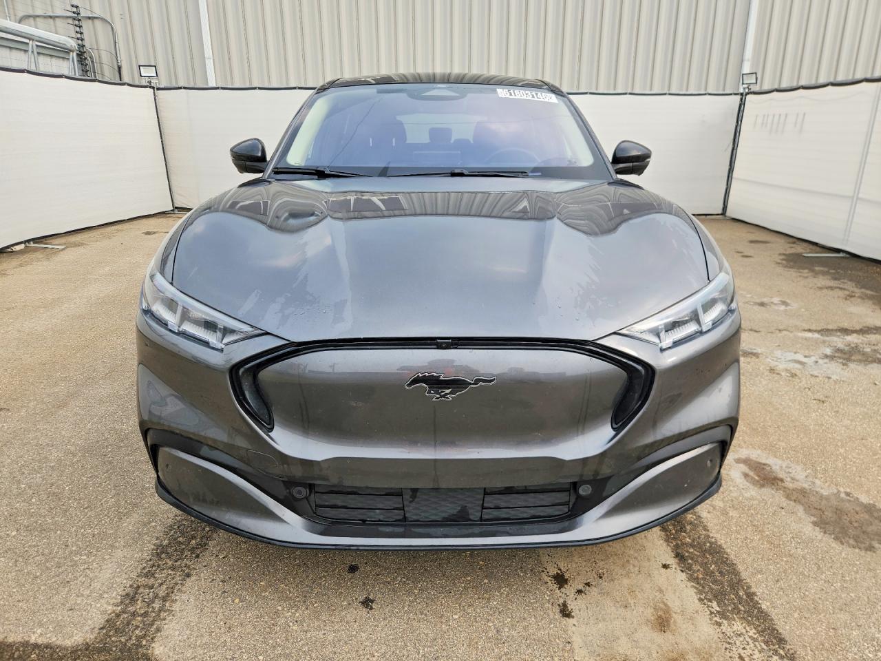 2023 FORD MUSTANG