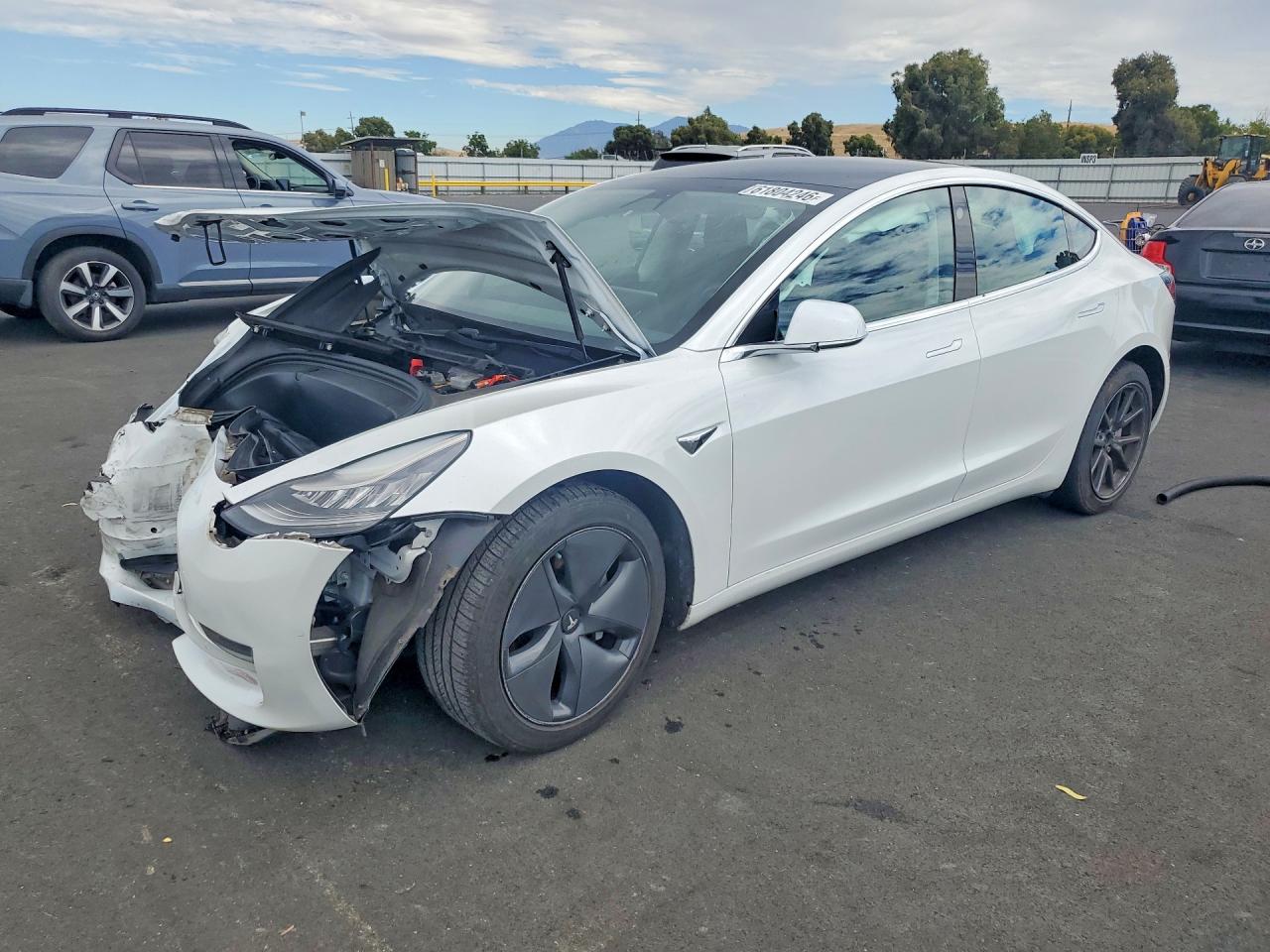 2019 TESLA MODEL 3