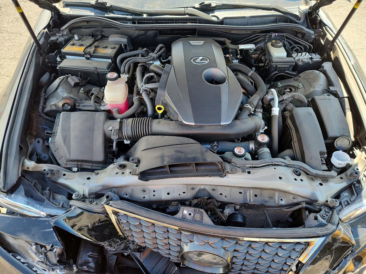 2019 LEXUS IS
