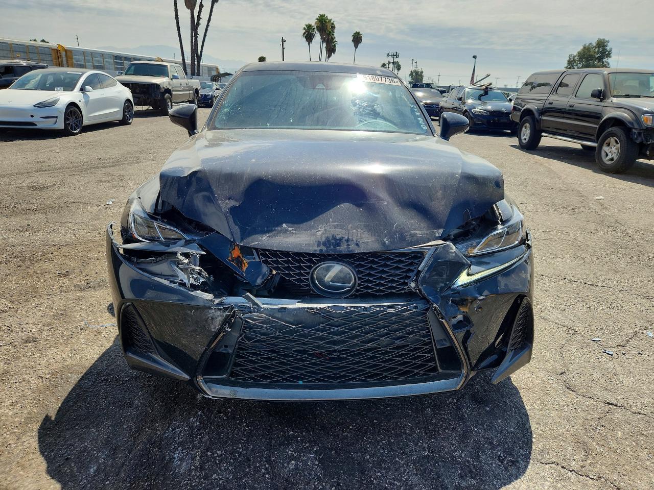 2019 LEXUS IS