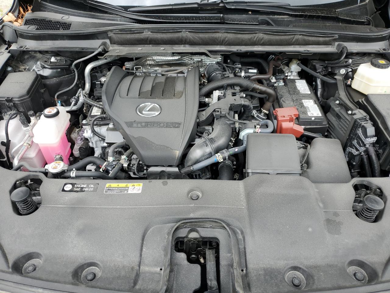 2024 LEXUS RX350