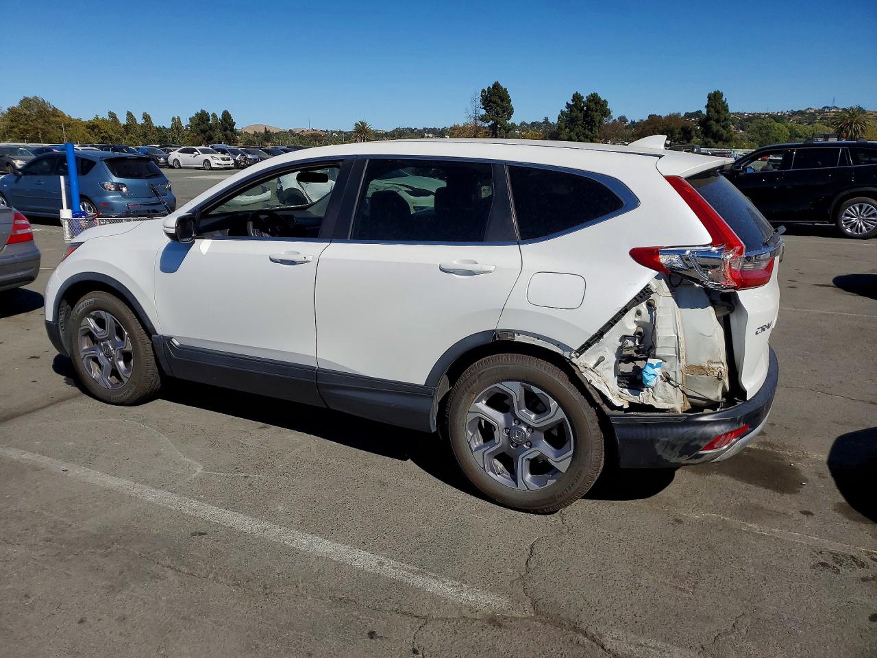 2019 HONDA CRV
