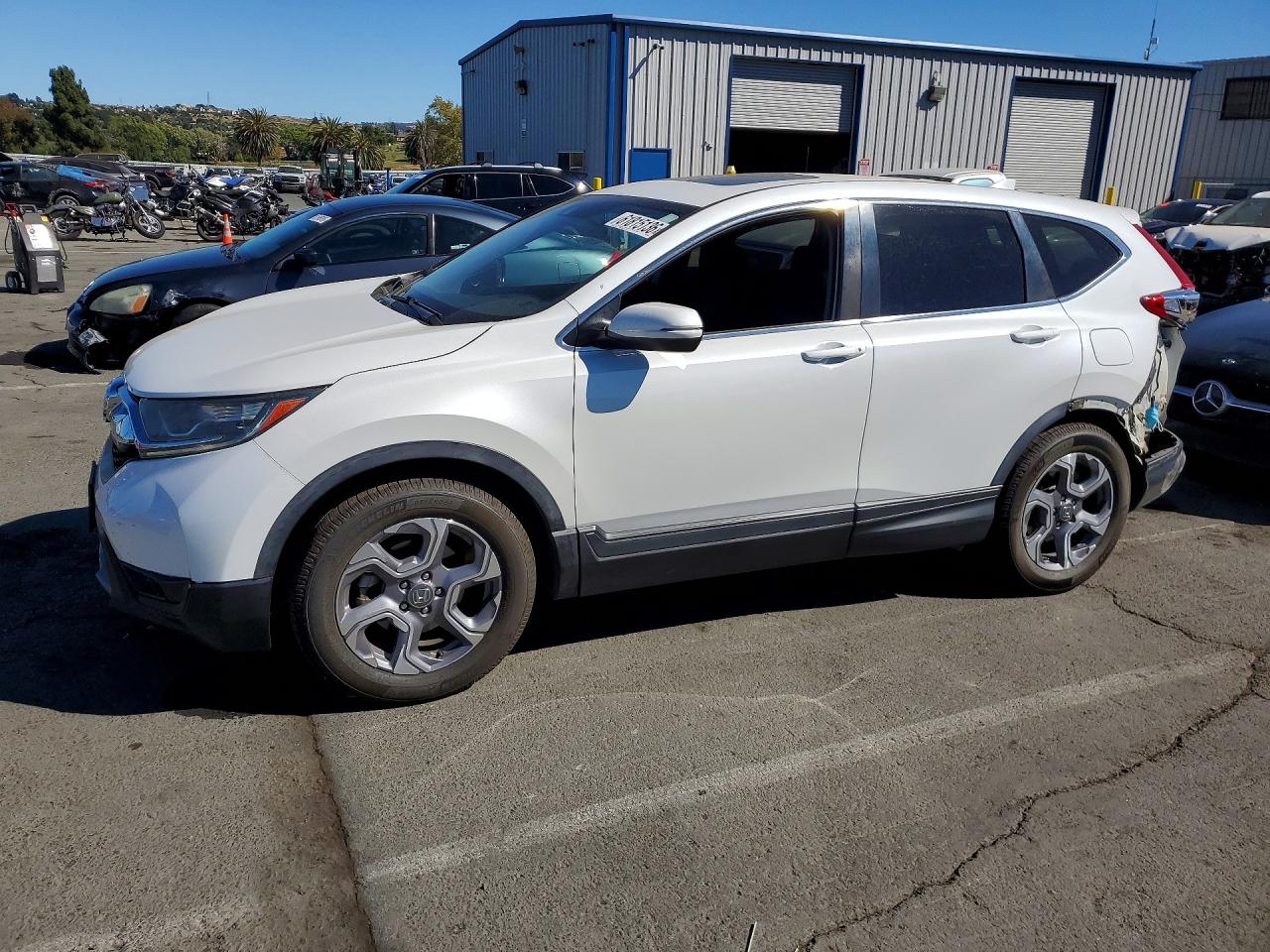 2019 HONDA CRV