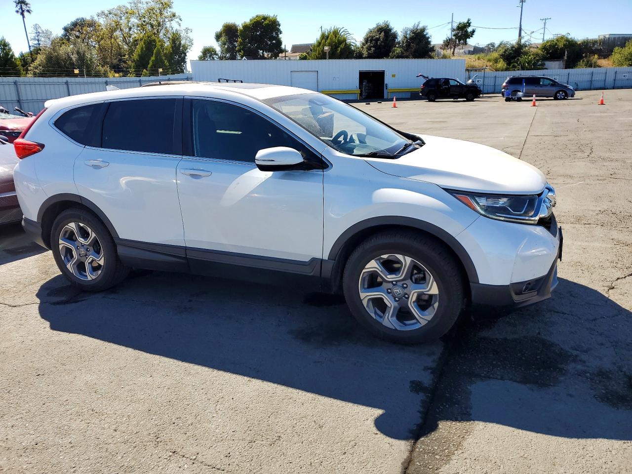 2019 HONDA CRV