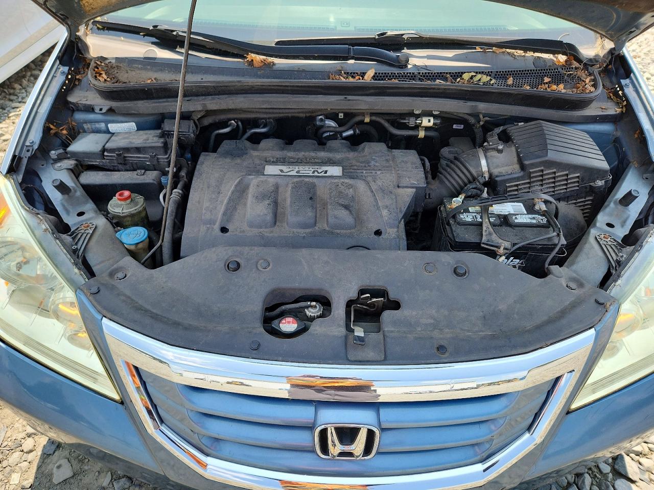 2009 HONDA All Models