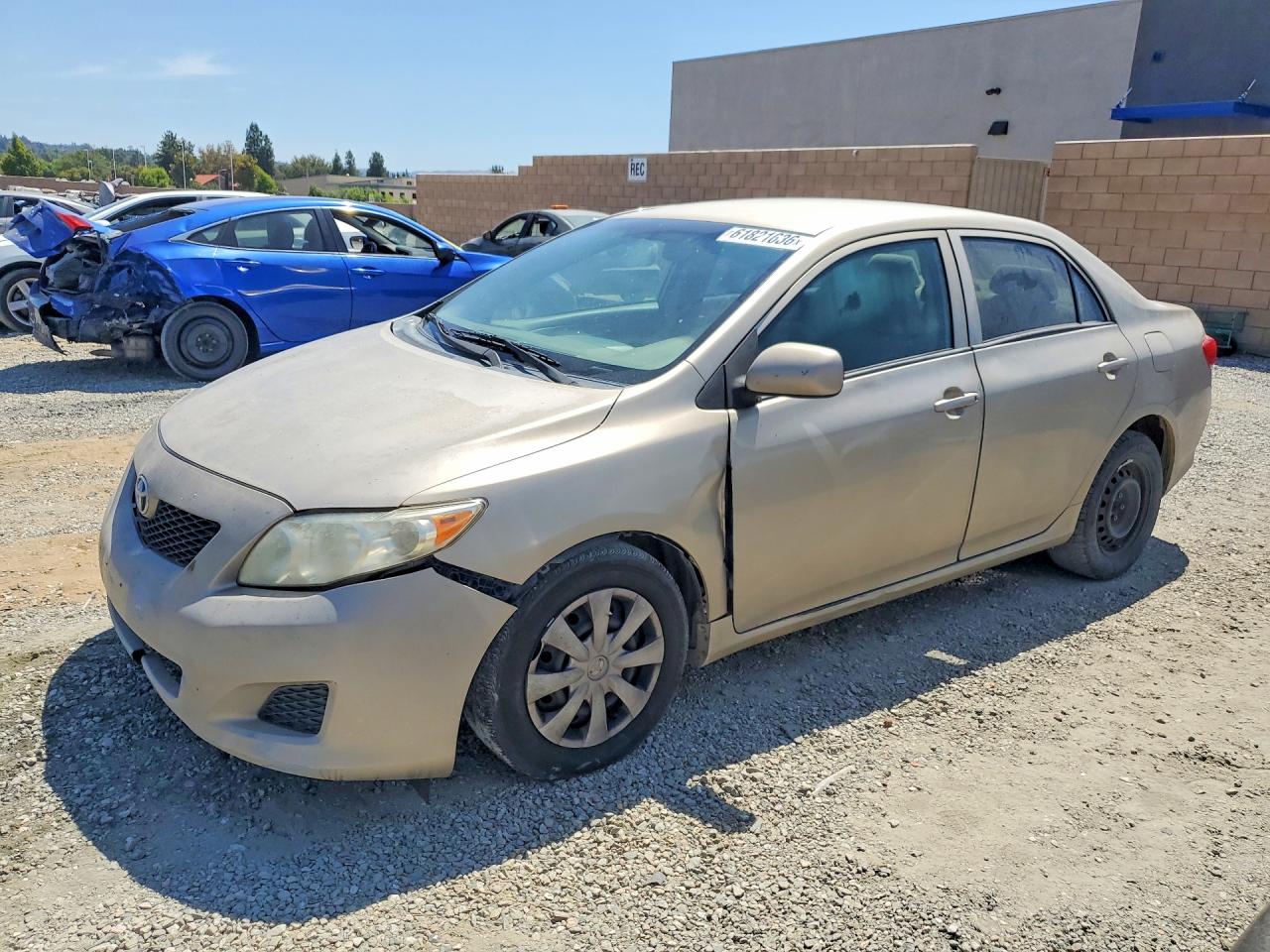 2010 TOYOTA COROLLA
