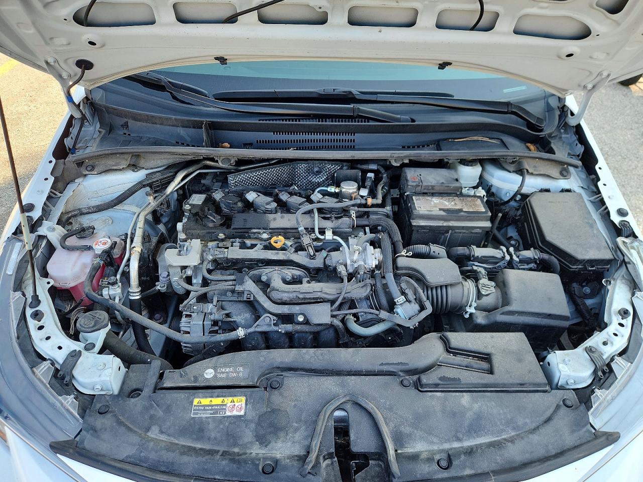 2024 TOYOTA COROLLA
