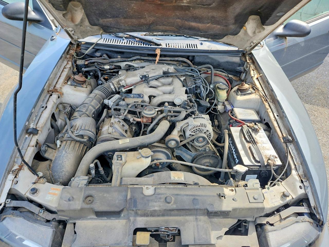 2000 FORD MUSTANG