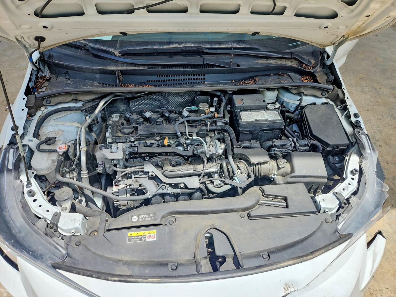 2025 TOYOTA COROLLA