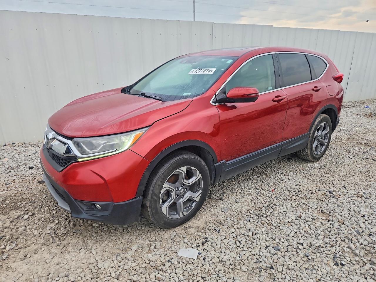 2019 HONDA CRV