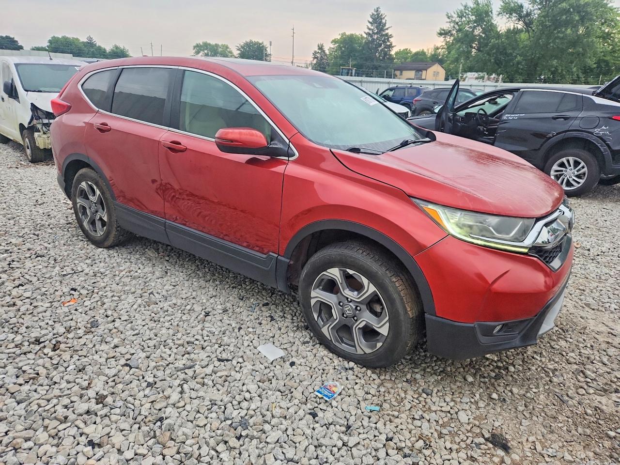 2019 HONDA CRV