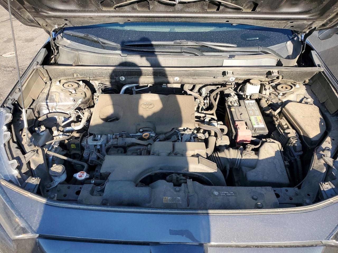 2019 TOYOTA RAV4
