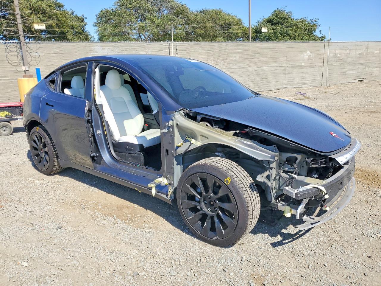 2020 TESLA MODEL Y