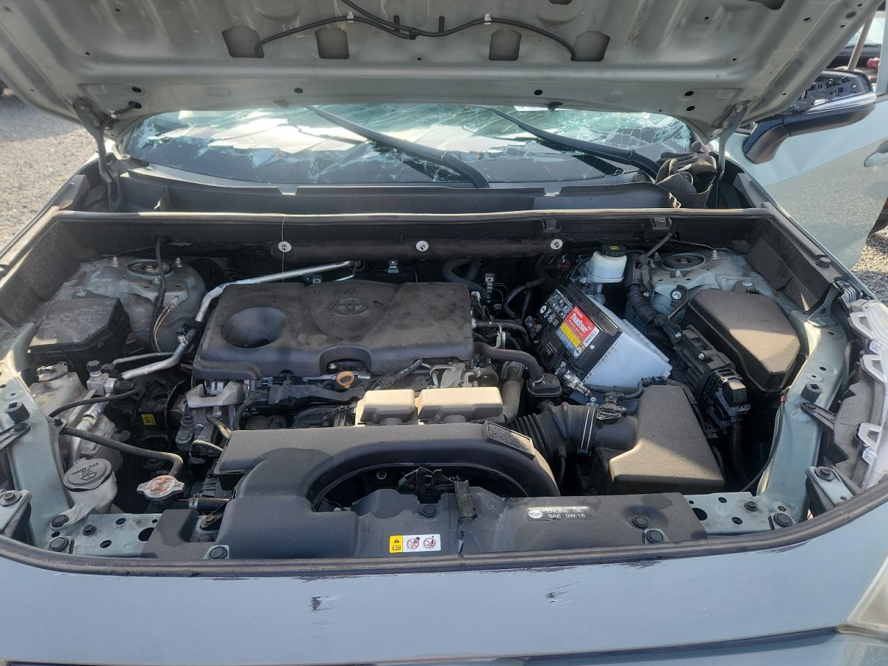 2019 TOYOTA RAV4