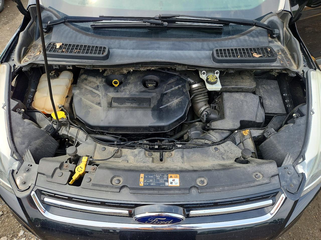 2014 FORD ESCAPE
