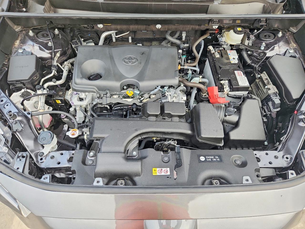 2025 TOYOTA RAV4