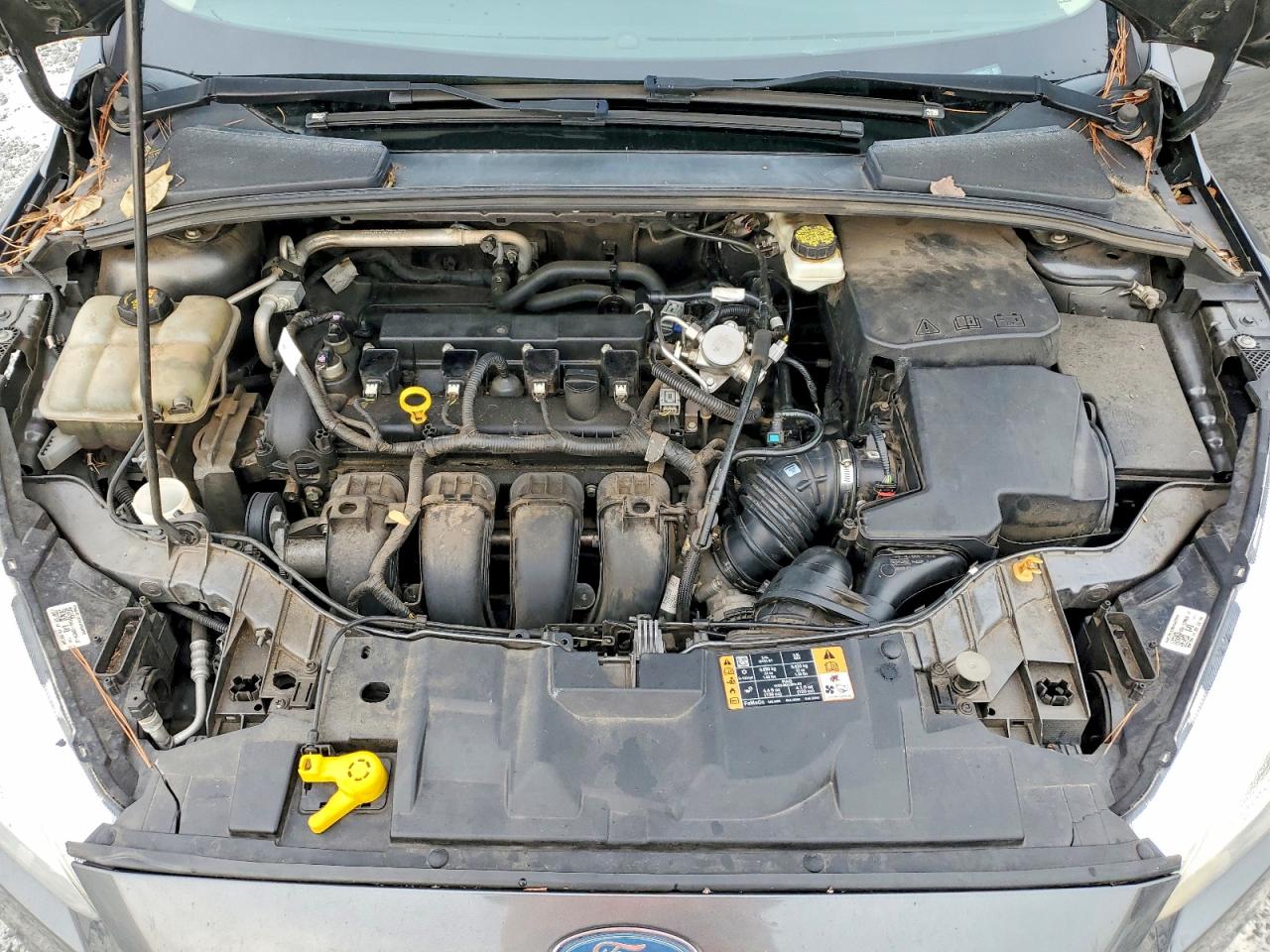 2017 FORD FOCUS