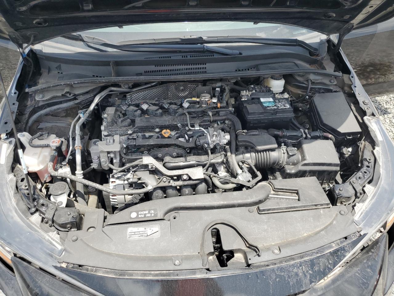 2024 TOYOTA COROLLA