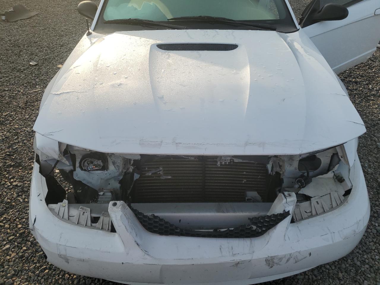 2000 FORD MUSTANG