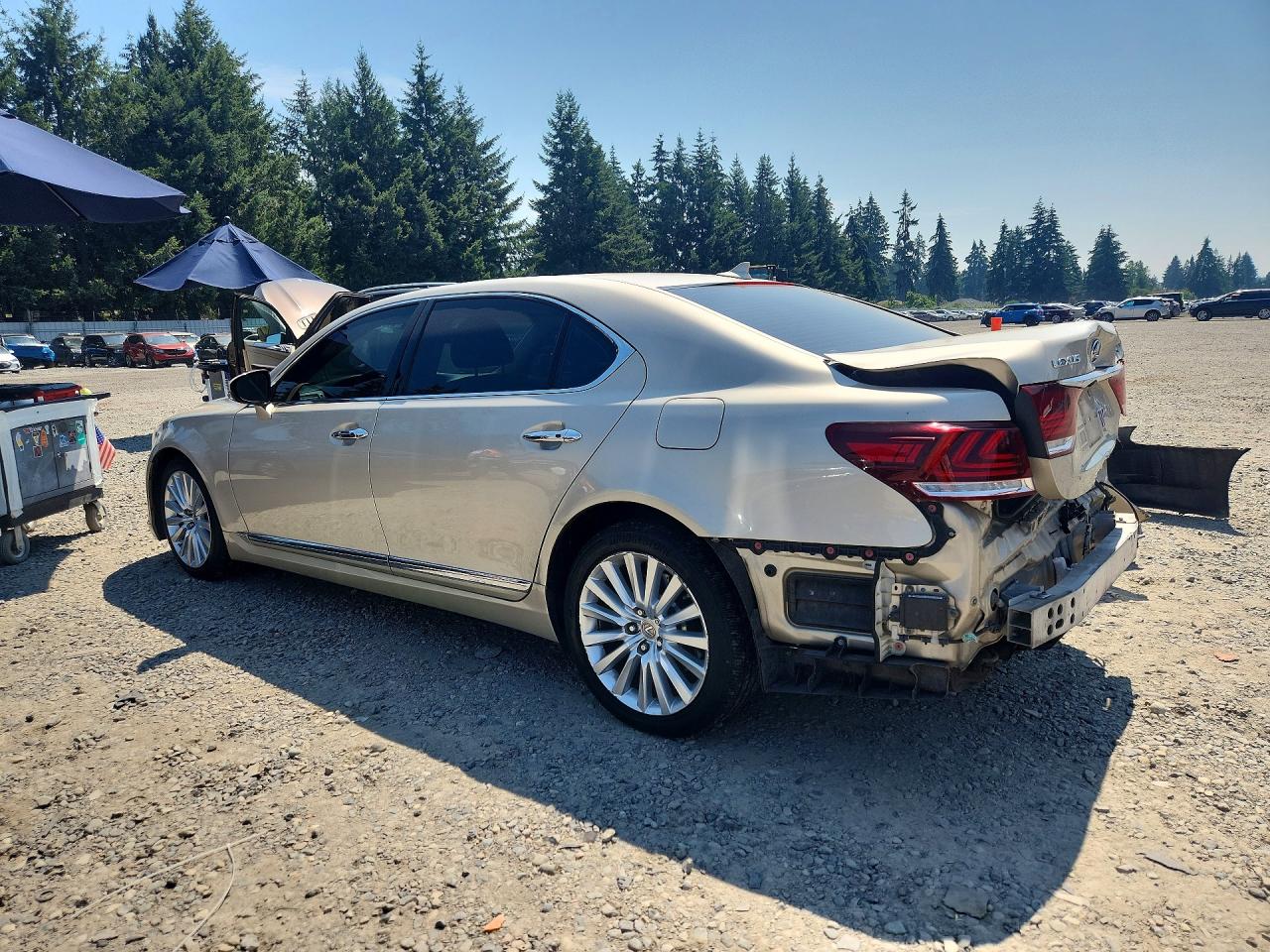 2013 LEXUS LS460