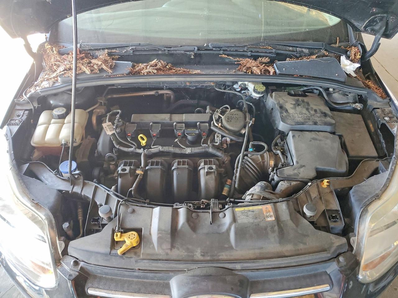 2013 FORD FOCUS
