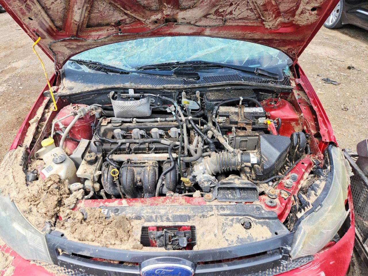 2010 FORD FOCUS
