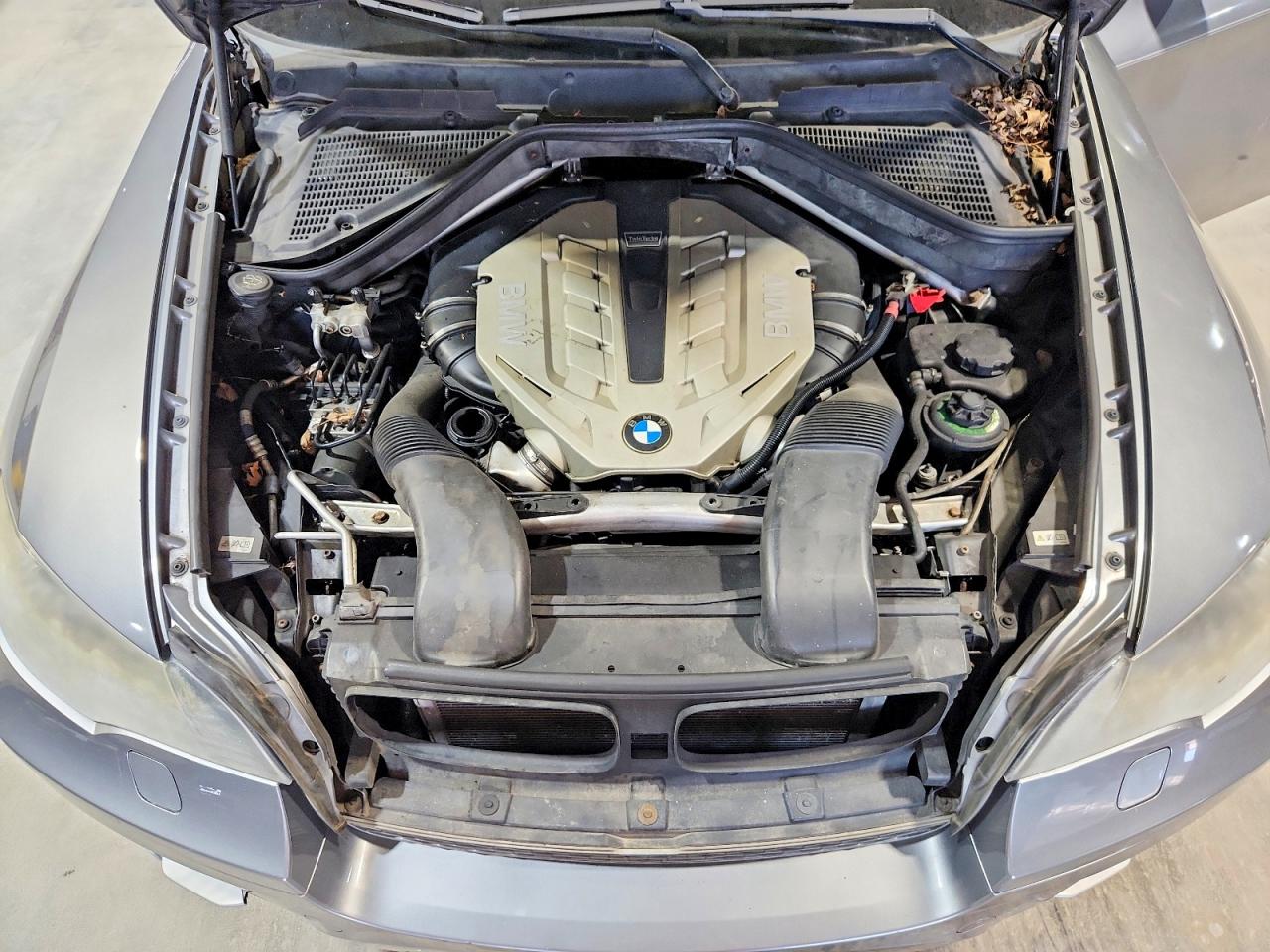 2010 BMW X6