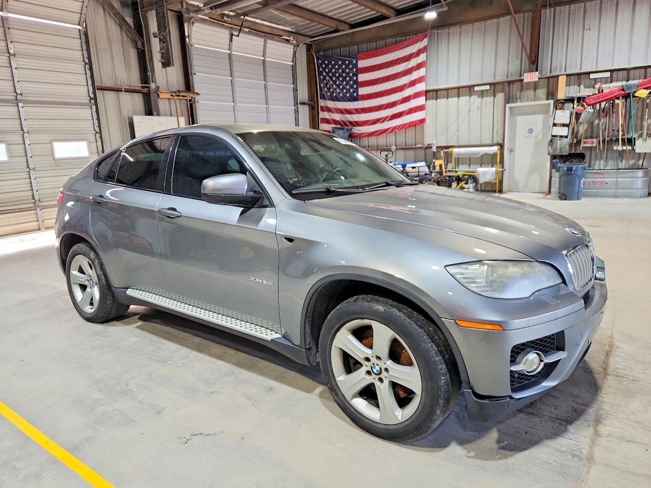 2010 BMW X6