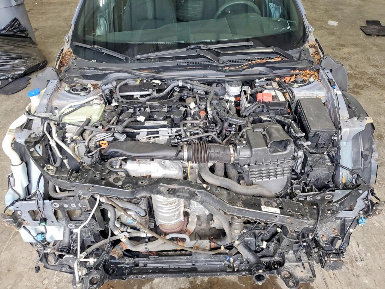 2019 HONDA CIVIC