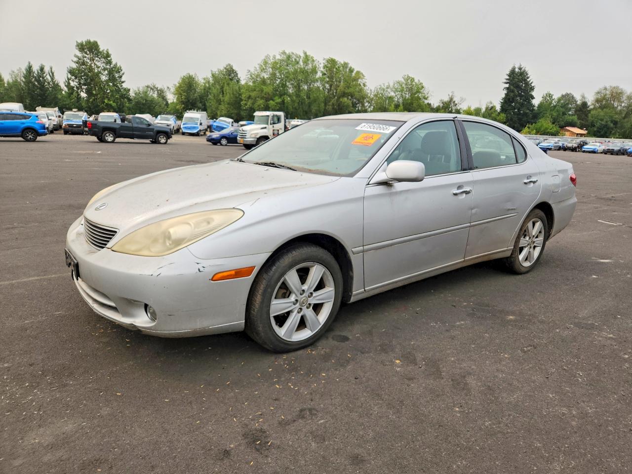 2005 LEXUS ES330