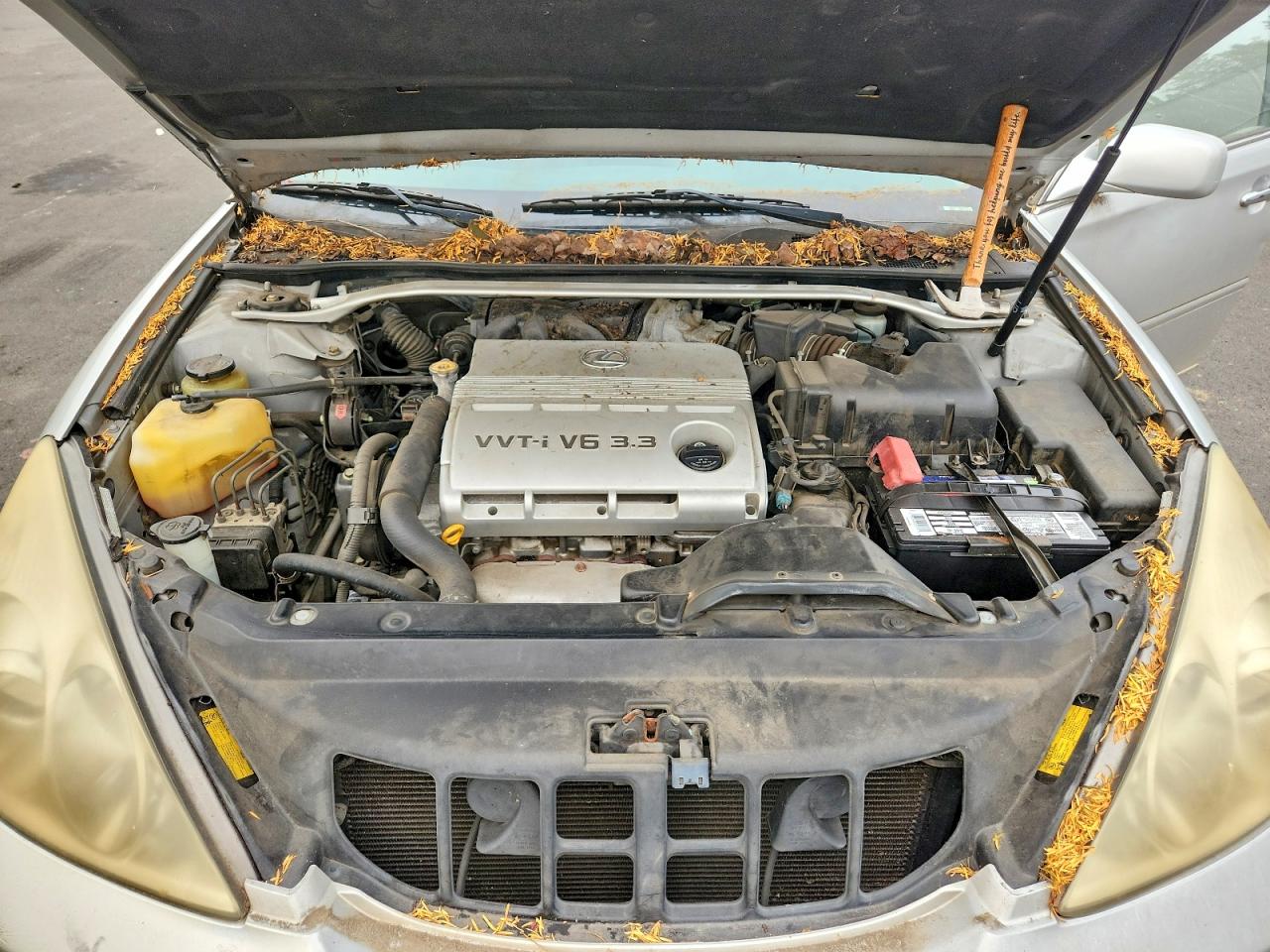 2005 LEXUS ES330