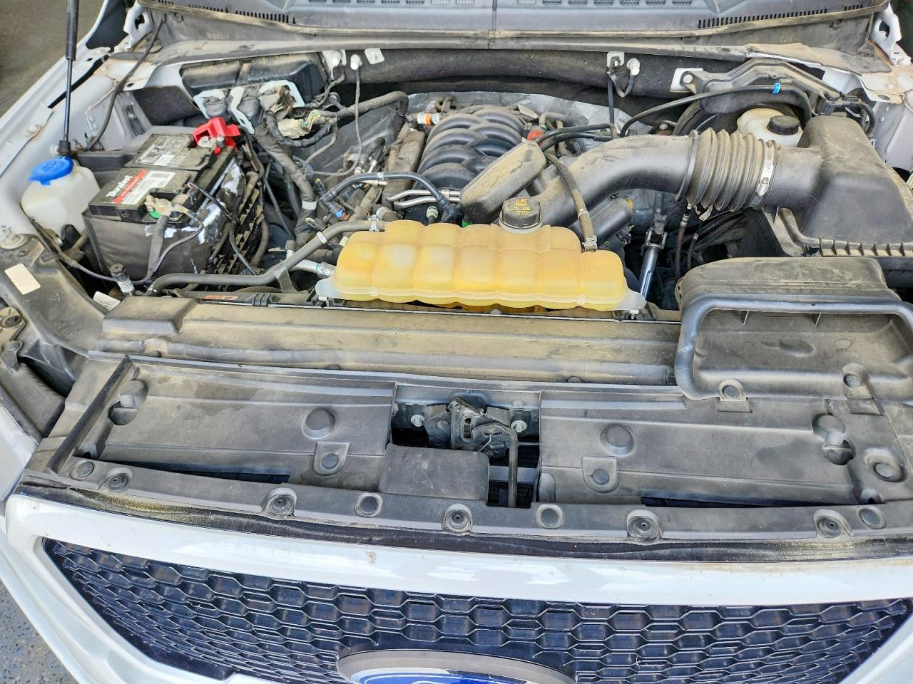 2019 FORD F150