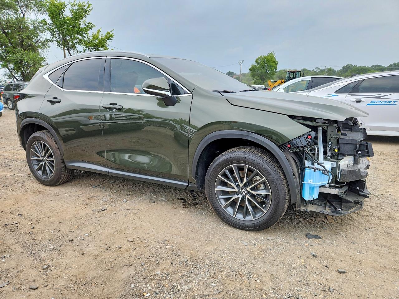 2025 LEXUS NX