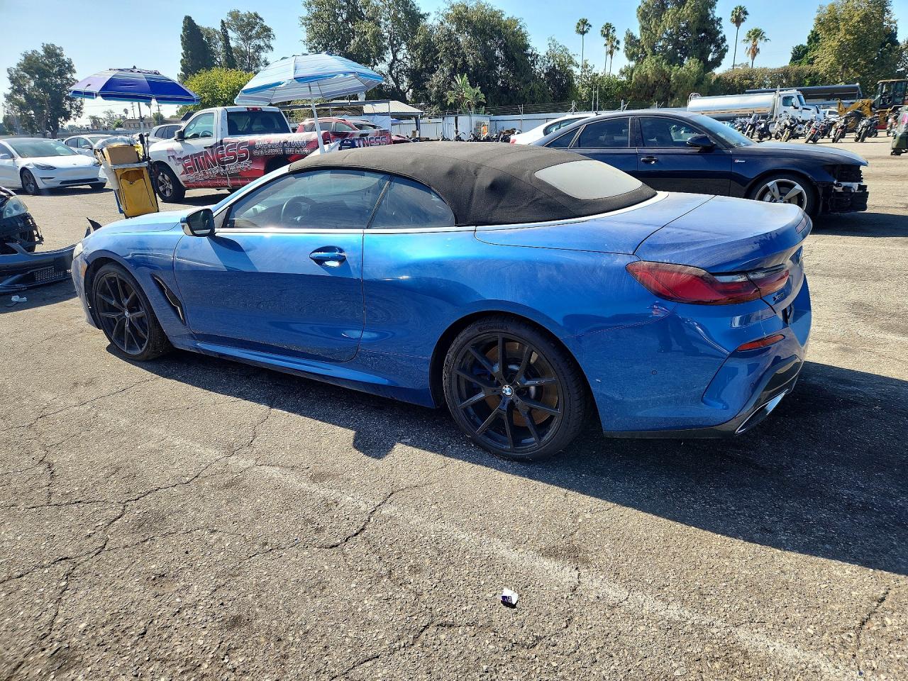 2019 BMW M8