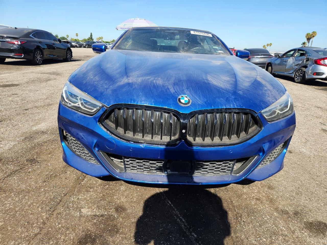 2019 BMW M8
