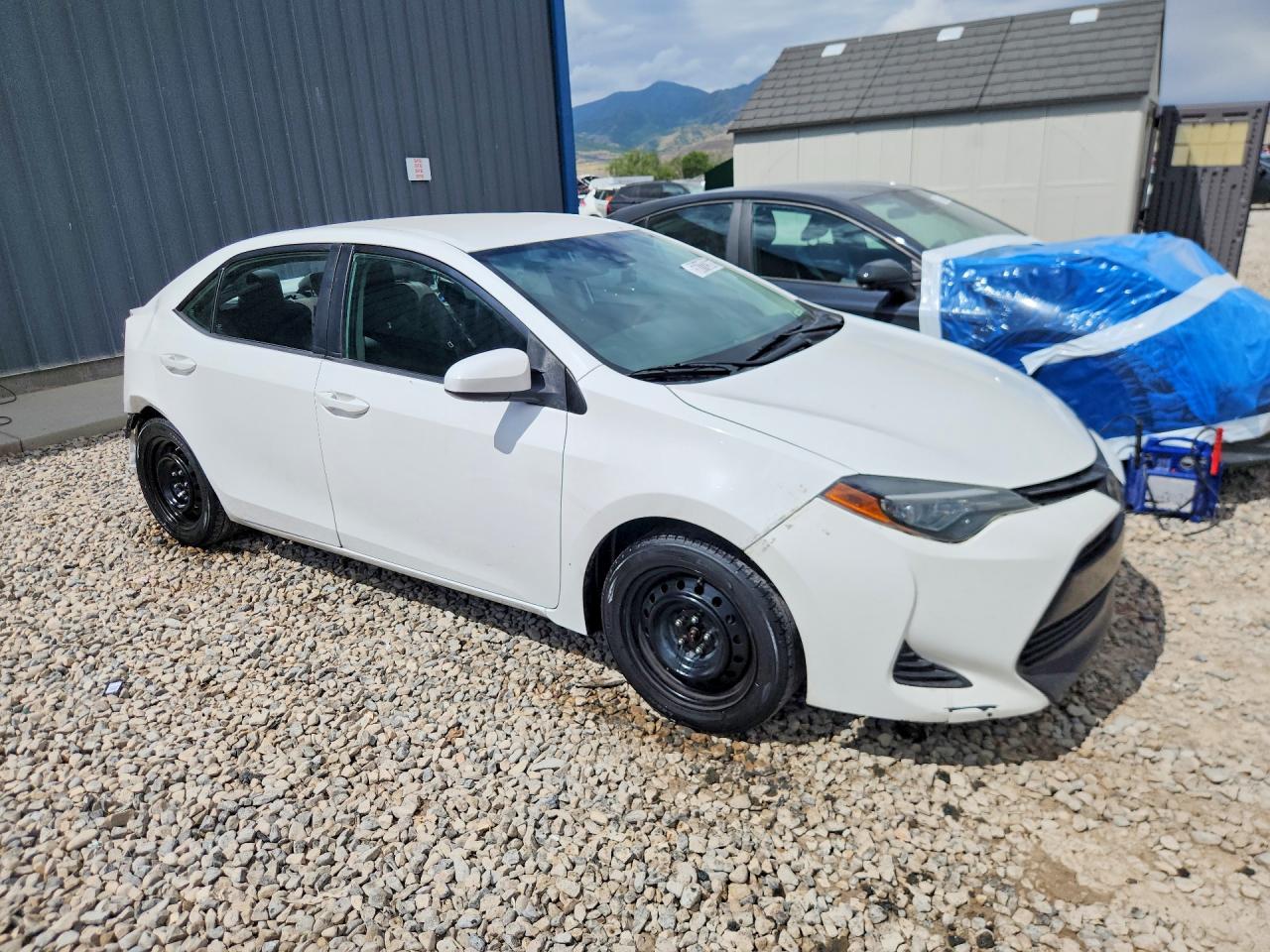 2019 TOYOTA COROLLA
