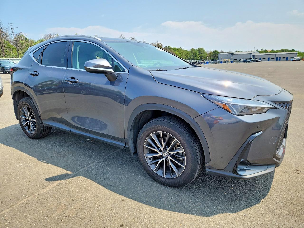 2025 LEXUS NX