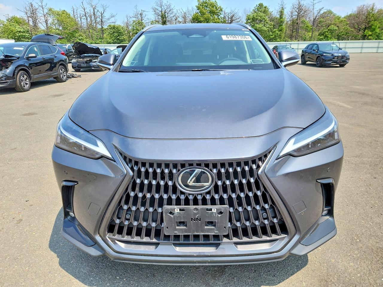 2025 LEXUS NX