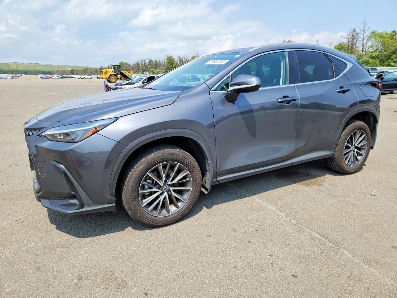 2025 LEXUS NX