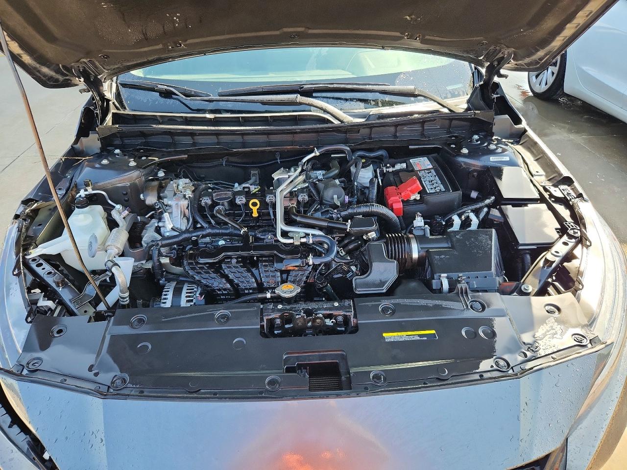 2025 NISSAN ALTIMA