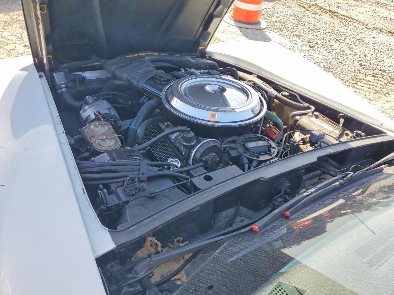 1981 CHEVROLET CORVETTE