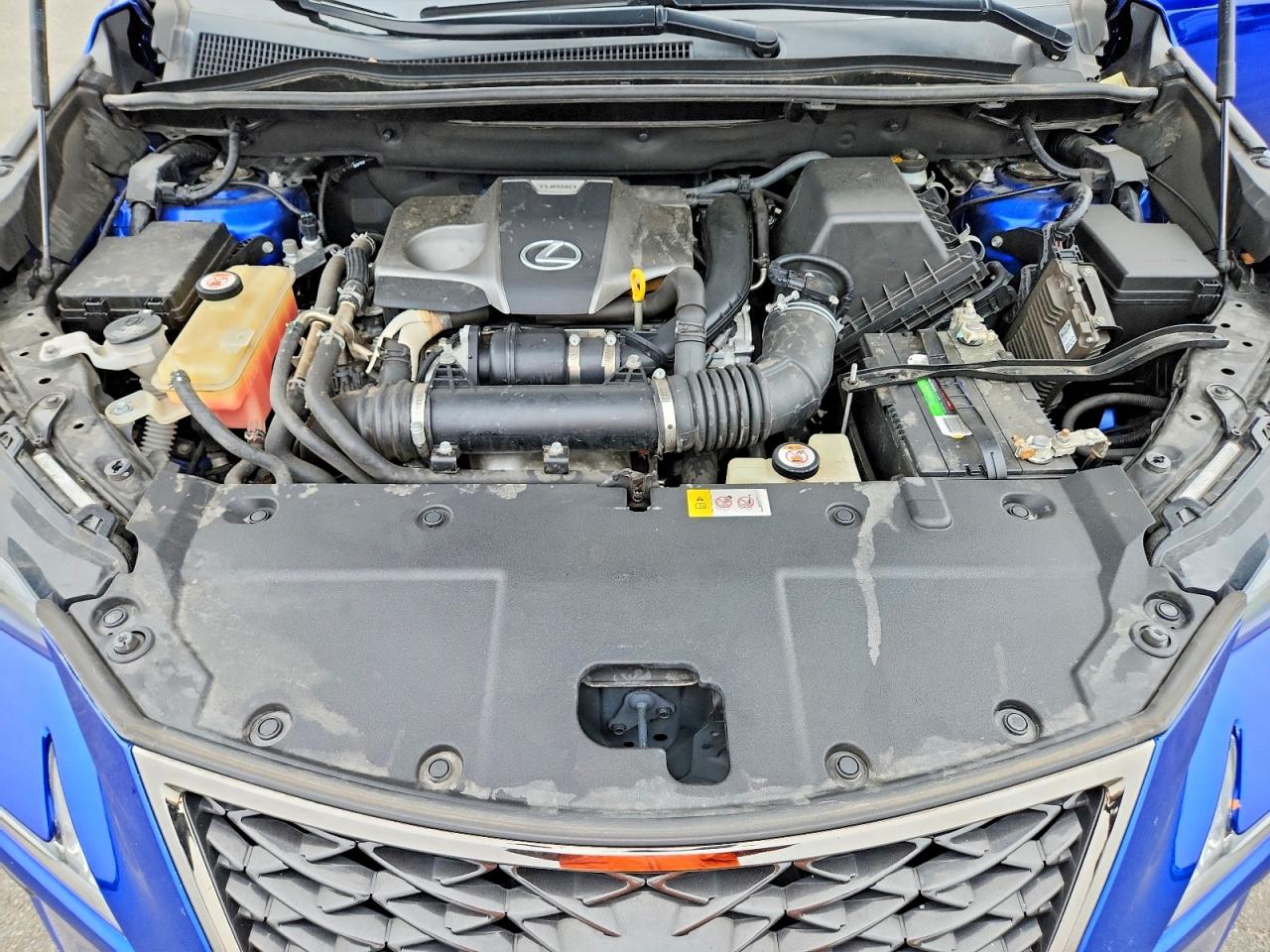 2019 LEXUS NX