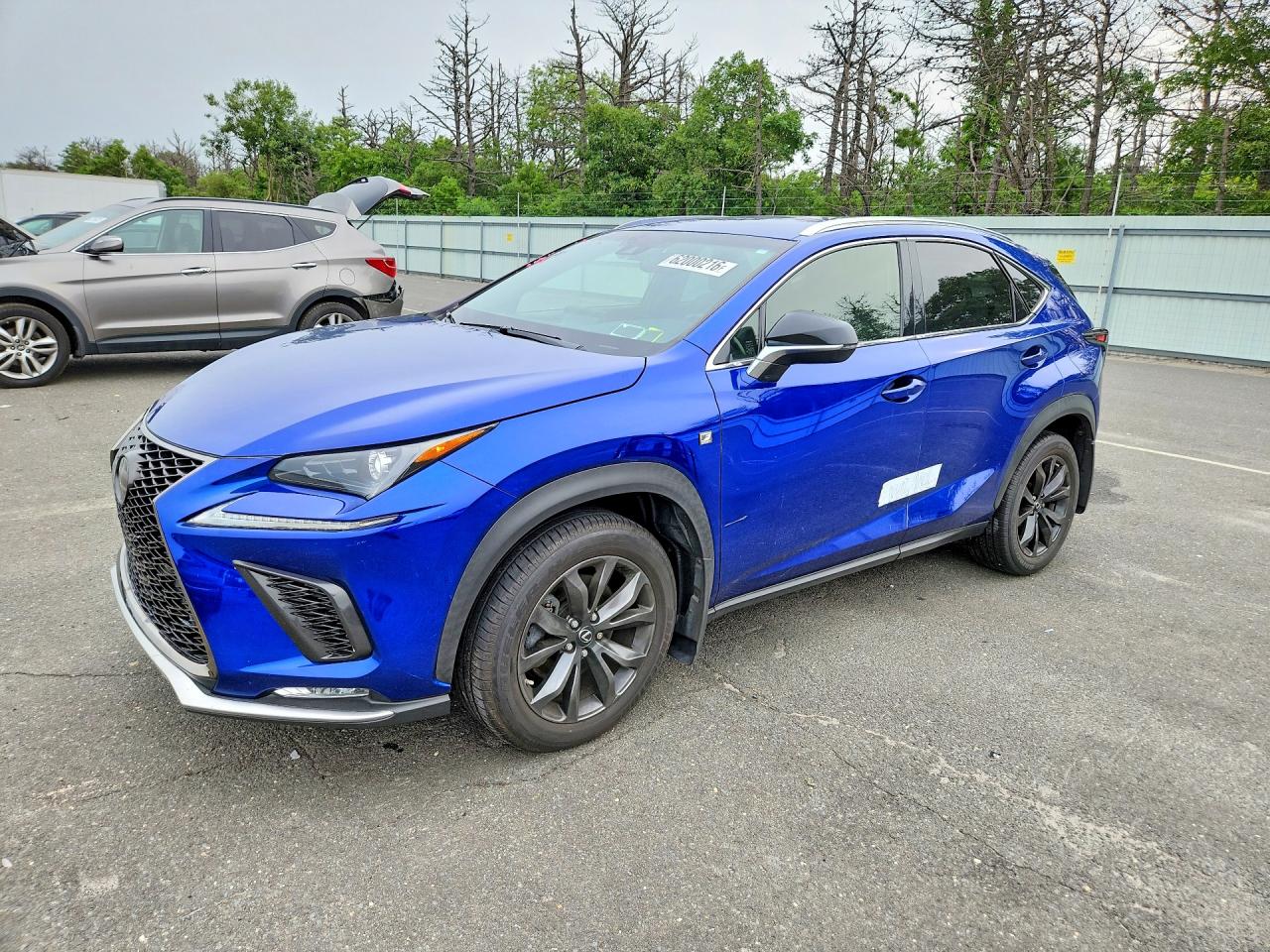 2019 LEXUS NX