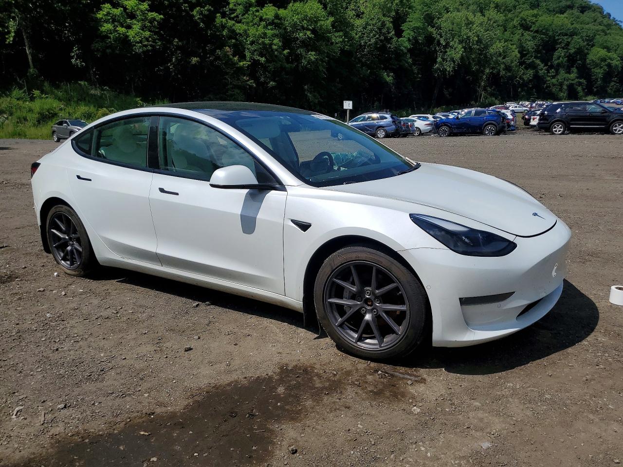 2021 TESLA MODEL 3