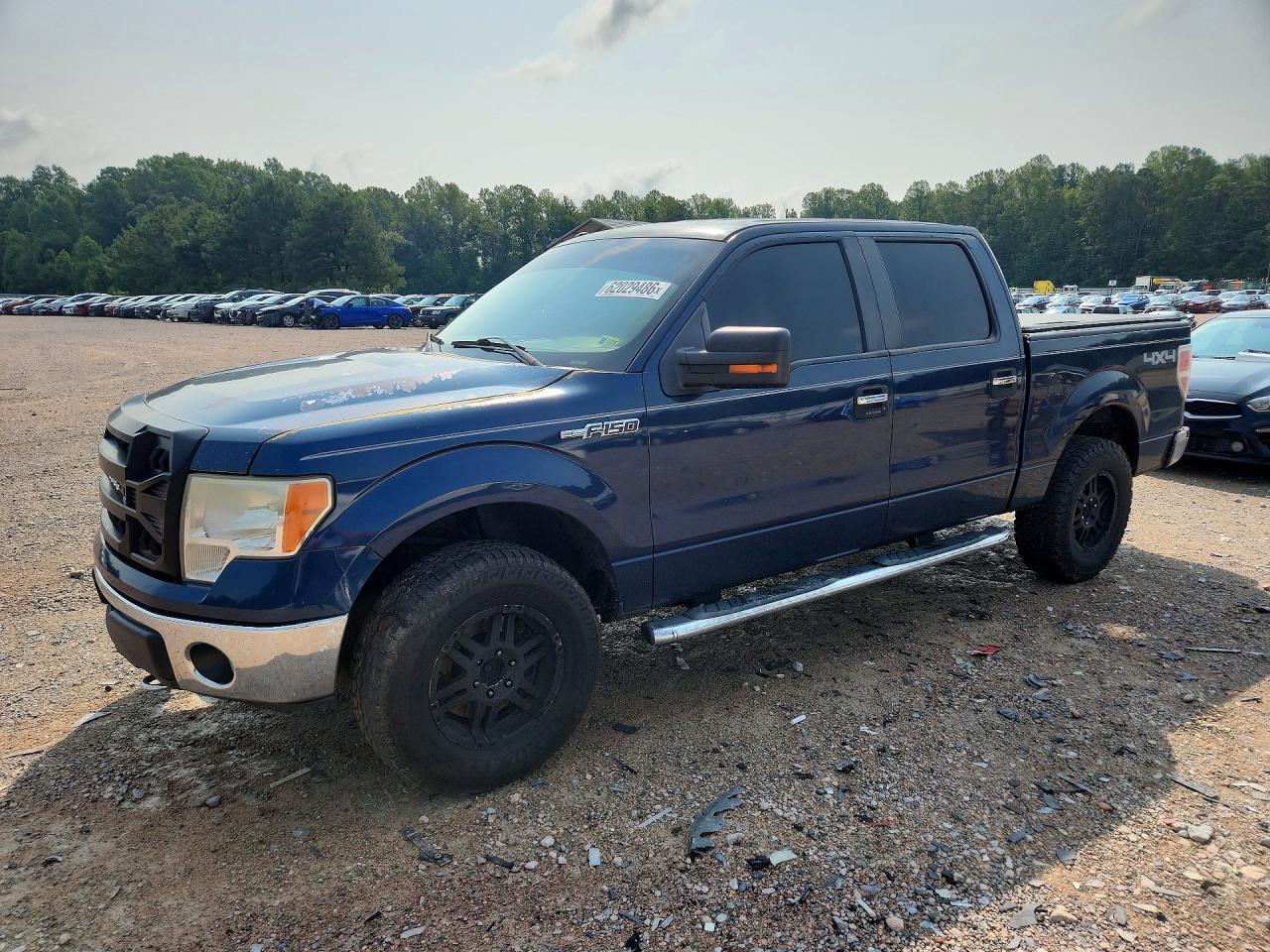 2013 FORD F150