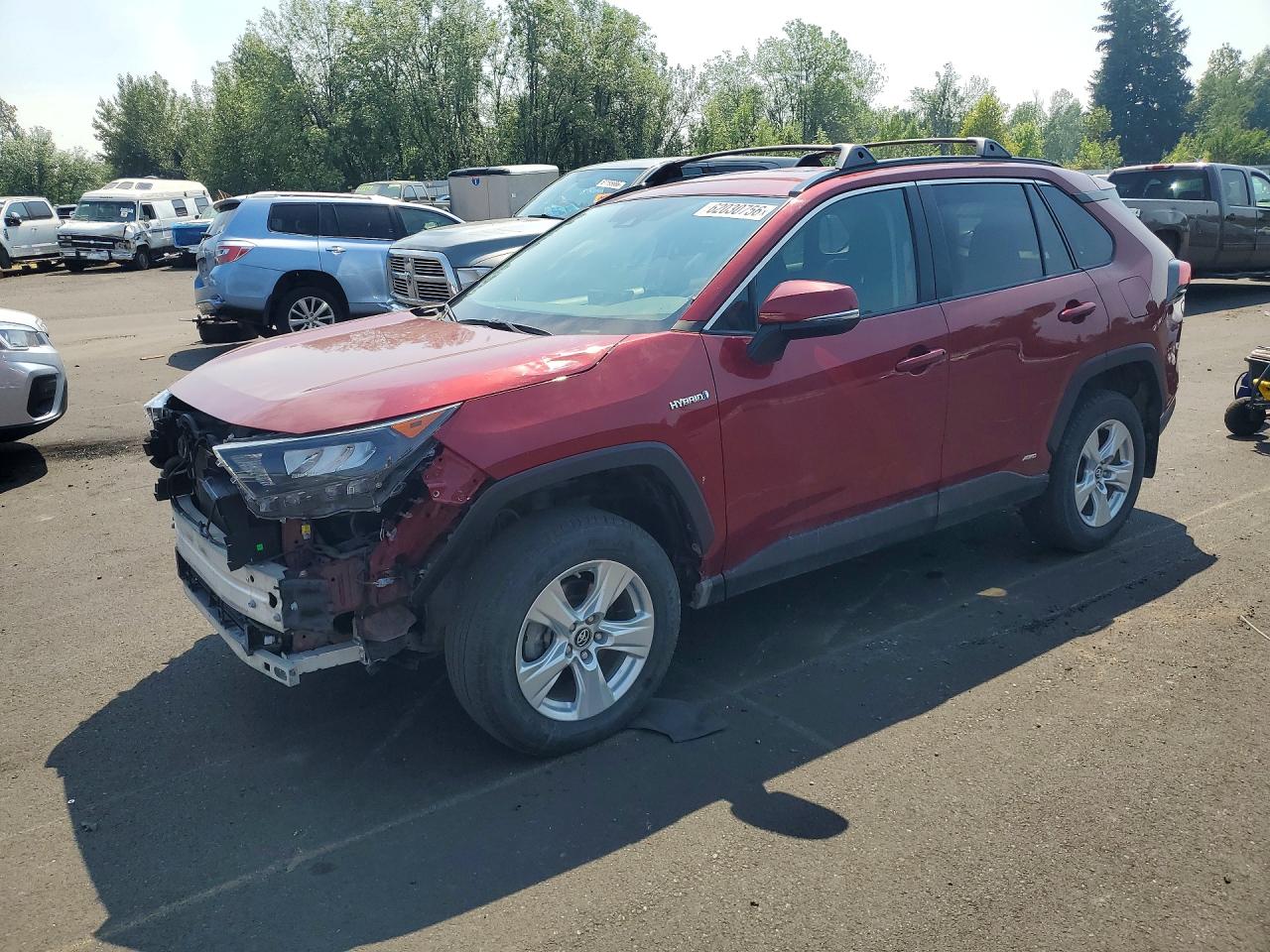 2019 TOYOTA RAV4