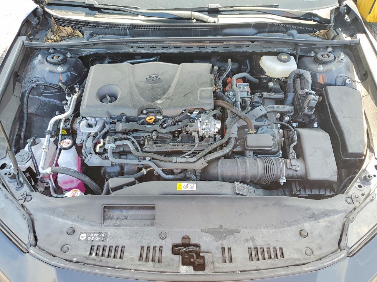 2025 TOYOTA CAMRY