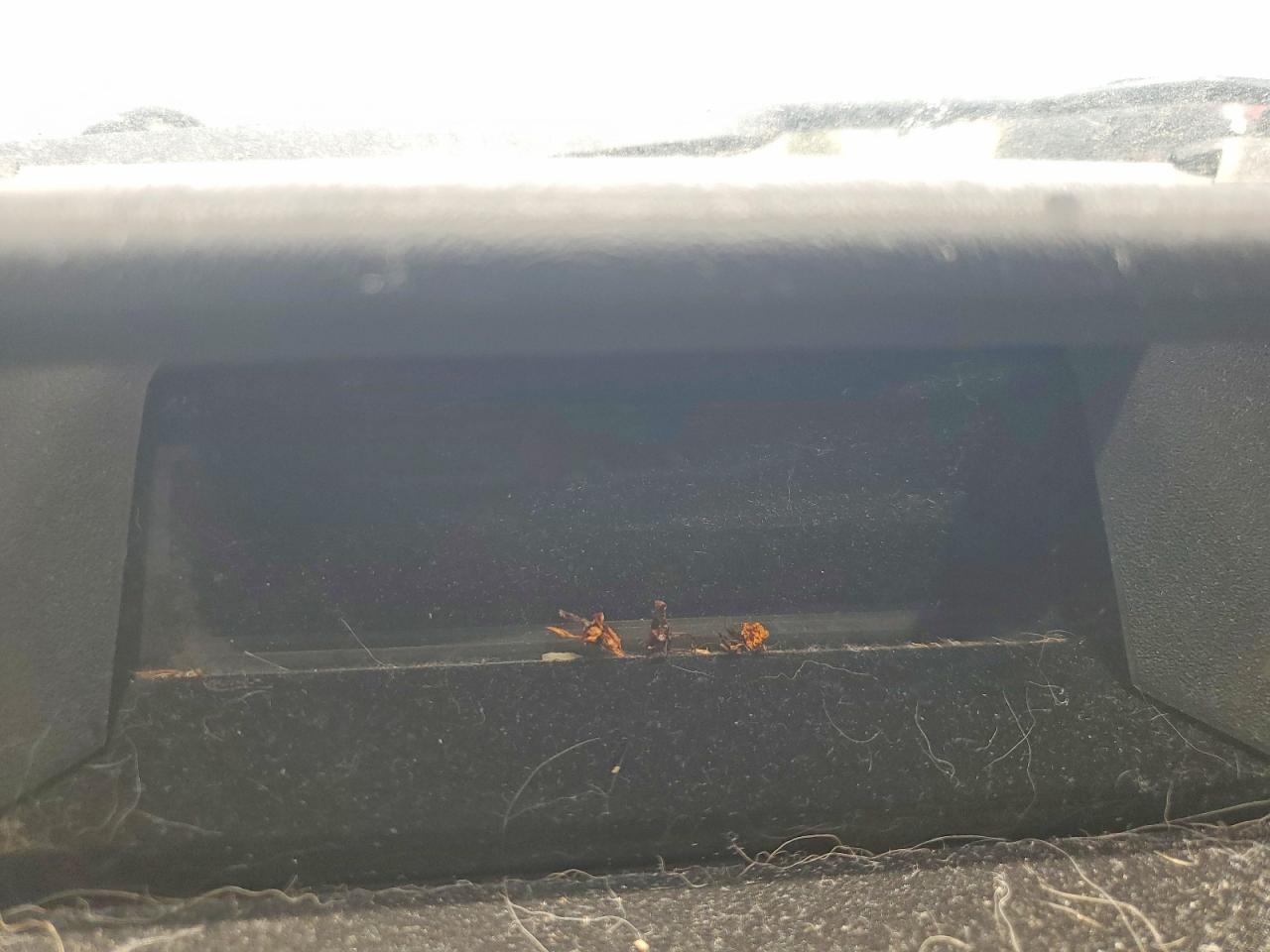 2006 TOYOTA PRIUS